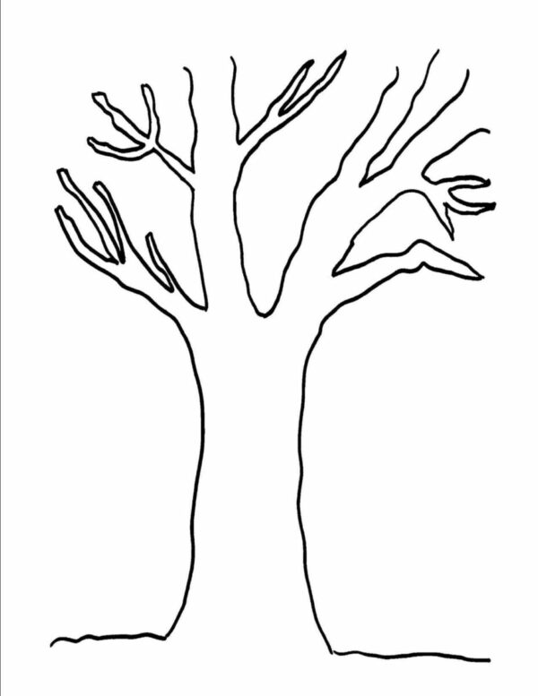 Little Tree of Gratitude - Atlantic Center for the Arts